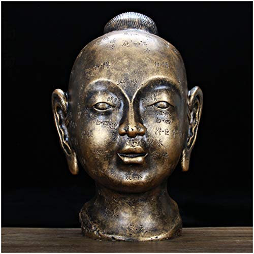 FHUILI 13.3Kopf Akupunkturmodell - Chinesische Medizin Akupunkturmodell - Pure Kupfer Akupunkturpunkte und Meridiane Anatomy-Modell - Für Studienanzeige