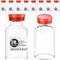 ZHANXUBIO Sterile Empty Vials with Self Healing Injection Port and Aluminum Plastic Cap,Sterile Package (20ml Clear 10PCS)