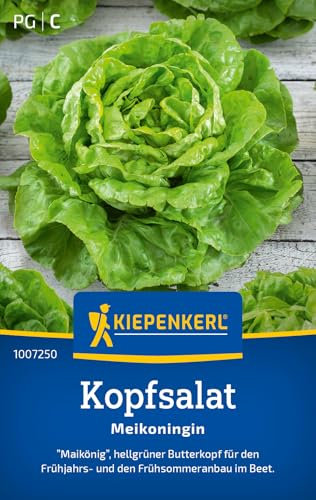 Kiepenkerl Kopfsalatsamen Meikoningin 1007250 - Robuste Gemüsesamen, Salatsamen für Frühjahr und Frühsommer, geeignet für Frühbeet oder Folientunnel