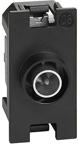 Living Now Presa Tv Diretta 1 Modulo