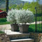 Kübel Krea quadratisch 45cm anthrazit Pflanztopf Pflanzen Blumen Garten Terrasse