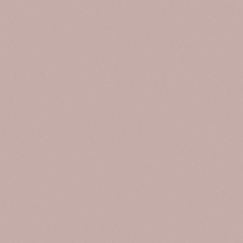 Rose Pink Plain Colour Vinyl Flooring 2mm R11 Anti-Slip Foam Backed Lino for Kitchen Bathroom Hall (2m x 2m)