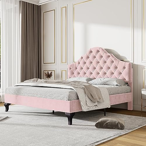 Merax Double bed frame, 4ft6 Double Upholstered Bed, Adjustable Chic Headboard, Sturdy Wooden Slat Support, Velvet Fabric (No Mattress), Pink+Velvet/135CM*190CM