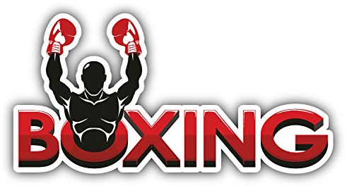 Boxing Label Hochwertigen Auto-Autoaufkleber 15 x 8 cm