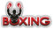 Boxing Label Hochwertigen Auto-Autoaufkleber 15 x 8 cm