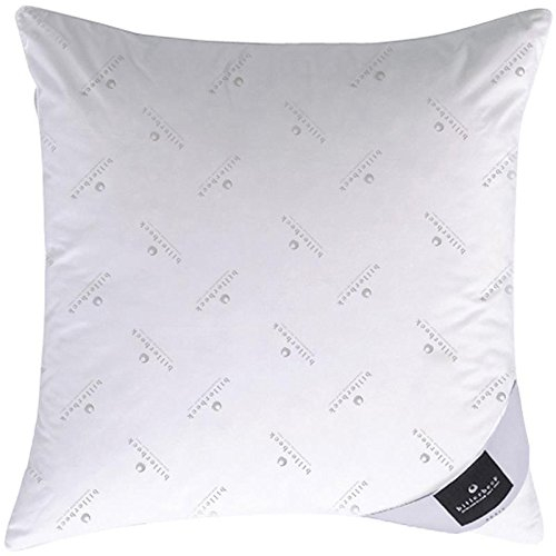 Billerbeck 2460630014 Kissen 525 Supra, circa 40 x 40 cm