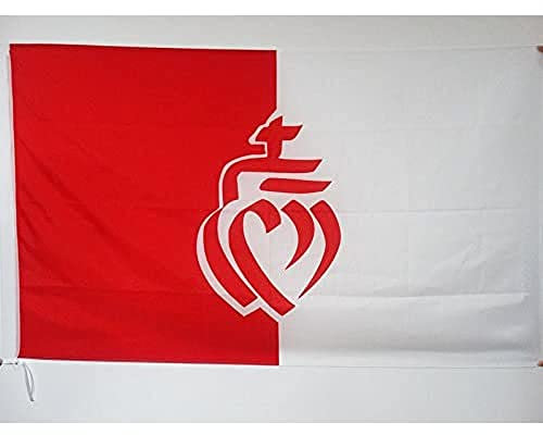 AZ FLAG - Drapeau Département de la Vendée - 90x60 cm - Drapeau Cœur Vendéen 100% Polyester Avec Fourreau et Cordelette - Pavillon 50 g