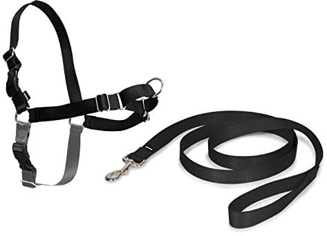 PetSafe Easy Walk Harness, No-Pull Walking Harness for Dogs, Adjustable Fit, Includes 1.8m Lead, Small-Black