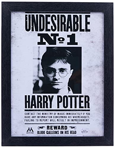 Harry Potter FP10616P-PL Undesirable No 1 Image encadrée, Multicolore, 30 x 40 cm