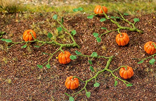 Faller 181258 Squash 6/ Scenery and Accessories Bauset