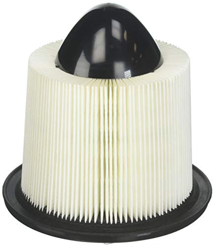 BOSCH 5283WS Workshop Engine Air Filter - Compatible with Select Ford E-150, E-250, E-350, E-450, Excursion, Expedition, F-150, F-250, F-350, F-450, F-550, Mustang; Lincoln Continental, Navigator