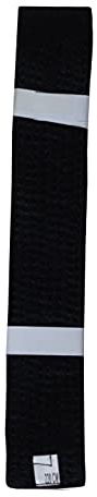 Lisaro kampfsportgürtel Karate Judo Taekwondo Ju Jutsu BJJ Gürtel Gr. 160-300 cm (schwarz, 160)