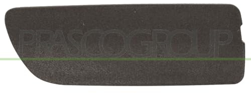 Prasco - BM8201239 - BMW - X5 - E53 - Mod. 05/00-12/06 - Abdeckung Zughaken Links Stosstange Vorne-Grundiert