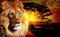 Olimpia Design 433P8 Papier peint photo Motif lion africain
