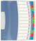 Esselte Trieur A4, Translucide, Index Intégré à 12 Onglets, Contient jusqu'à 200 Feuilles, Fermeture Élastique, Blanc, VIVIDA, 624030 Bleu/Multicolore