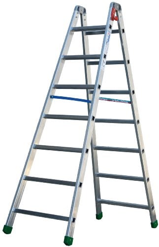 FACAL Scale FACAL professional-1