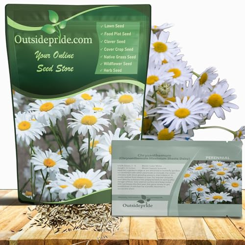 Outsidepride Shasta Daisy - Semillas de crisantemo - 5000 unidades. Perennes a prueba de ciervos, tolerantes a la sequía, semillas de flores silvestres para jardines polinizadores, flores cortadas y