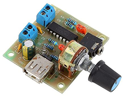 Scheda Amplificatore di Potenza USB AC / DC a Bassa Tensione 5 V, Modulo Amplificatore di Potenza Stereo Assemblato PM2038
