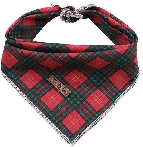 Lionet Paws Bandana pour chiens de petite, moyenne et grande taille, foulard triangulaire pour chien ou chat pour fille ou garçon
