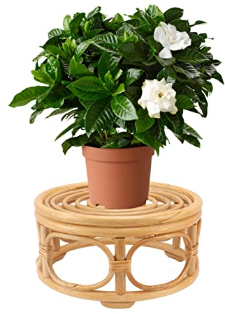 Tissting Pflanzenständer Rattan 21cm / 28cm Runde Sockel Blumenhocker Blumentopfständer Innen Außen Deko Pflanzenregale Topfgestell für Balkon Garten Dekoration(5.1x11in)