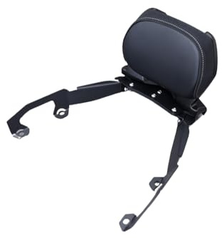 avdb-moto Rückenlehne für Soziussitz/Beifahrersitz/Sissy-Bar kompatibel mit HONDA FORZA NSS 125 2019-2024, FORZA NSS 350 2021-2024 (Stahl)