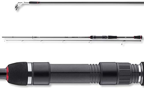 Daiwa Ballistic X Jigger, 2,1 m, 8-35 grammi, 2 pezzi, canna da pesca filatura, manico EVA, 11511-210