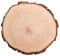 Baumscheibe aus echtem Holz mit Rinde, Runde Holzdeko Baumstamm Scheibe, Natürliche Holzscheibe zum Basteln, Schlichte Holzplatte als robuster Untersetzer