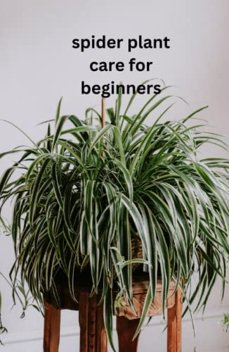 Spider Plant Care For Beginners: The only book you need for caring and growing the humble spider plant whether your new to house plants or you're an experienced house parent