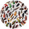 Insekten Aufkleber für Laptop (50 PCS),Geschenk für Kinder Jugendliche Erwachsene Jungen,Insects Stickers Wasserdicht Vinyl Aufkleber für Scrapbook,Skateboard,Auto,Gepäck