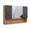 Vicco Armoire de Toilette Irma, Chêne de Force doré/Anthracite, 80.1 x 55 cm