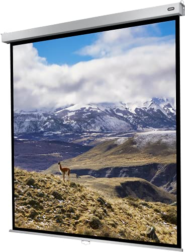 celexon Pro Plus Écran de Projection Manuel 110 | 200x200 cm 1:1 | Écran 4K, Full-HD Extensible manuellement pour Les présentations de Bureau et Le Home Cinéma | Montage Mural & au Plafond