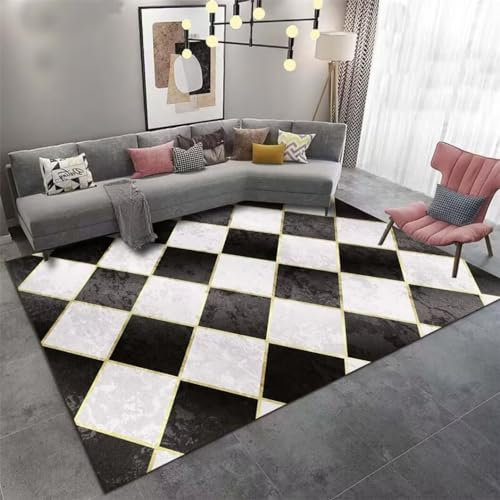DJHWWD Moquette Salon Moquette Tapis rectangulaire pour Balcon, Tapis antitache Gris Noir champouineuse canapé et Tapis Deco Gaming Room 200X300CM