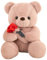 DHINCHANSAIB Cadeaux de la Saint-Valentin pour enfants - Ours en peluche avec rose, 25 cm, jouet doux pour les anniversaires et la Saint-Valentin, parfait pour les couples et les amis (Pink)