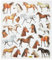 HOBBY-Design Sticker Pferde II