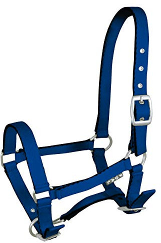 York Fohlenhalfter Mini Halfter Pferdehalfter Tobi versch. Farben (blau)