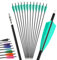 12Pcs 4inch Türkei Feder gemischt Carbon Pfeil 500 Spine Bogenschießen Jagdpfeile Anzug für Compound/Recurve Bogen Ziel Praxis Pfeil (blau, 31 Zoll)