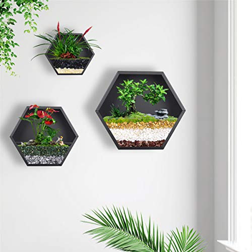 Ecosides Macetero de pared mixto de 3 panales de hierro para interiores, maceta hexagonal para colgar en la pared, terrario geométrico, jarrón de pared, maceta de metal para decoración de pared,