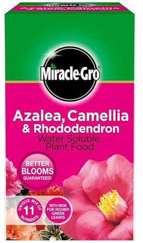 MiracleGro Azalea, Camellia & Rhododendron Soluble Plant Food 1kg – NPK 24-8-16 with Chelated Iron & Micro-nutrients – Ideal for Acid-Loving Plants, Promotes Vibrant Flowers & Healthy Growth
