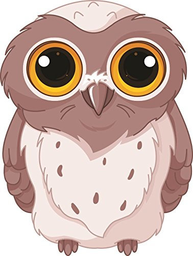 U24 Aufkleber lustige Eule Autoaufkleber 9 x 12 cm Sticker Konturschnitt
