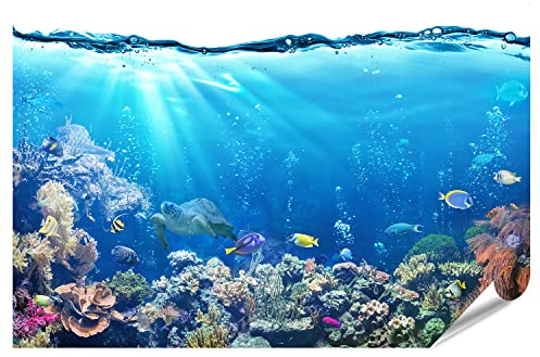 islandburner XXL Bild Poster Unterwasser Szene Riff Und Tropischen Fischen Aquarium Premium Bilder Fotodruck