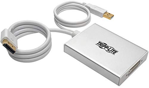 Tripp Lite 6in DisplayPort to DVI Active Video Adapter Converter Dual-Link 2560 x 1600 6 (P134-06N-DVI-DL), Silver