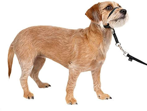 PetSafe Easy Walk Headcollar, No-pull Dog Walking Lead, Adjustable Fit, Comfortable, Small-Black
