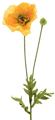 Blume Seidenblume Mohnblume Knopse gelb 60 cm