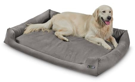 Loop Orthopädisches Hundebett Grau 3XL für große Hunde - Recyceltes Flockenfüllmaterial, Waschbar, Robuster Baumwollbezug mit soliden Reißverschlüssen, Allergikerfreundlich, Indoor/Outdoor