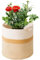 KMERCE Grand Pot de Fleurs Tressé, Cache Pot Plante Interieur, Panier à Plantes en Corde de Coton pour décoration Intérieure, Panier de Rangement pour Jouets, Vêtements - Diamètre 30cm (Blanc+Jaune)