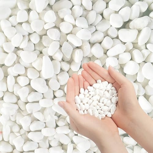 3.97lb Decorative Stones, Natural Pebbles for Plant Pots, Small River Rocks White Gravel Stones for Garden Fish Tank Gravel, Landscaping, Vase Fillers, Aquarium,Succulents Garden Decoration(0.5-0.8CM)