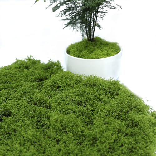 205g Moos Zum Basteln Deko, Kunstmoos,KüNstliches Fliegenpilz,Islandmoos,Krippe Terrarium,Moss kaufen Bastelmoos Natur,Dekorieren,Kunst Fake Dekomoos für Wand Krippen Aquarium Modellbau,Moosplatten