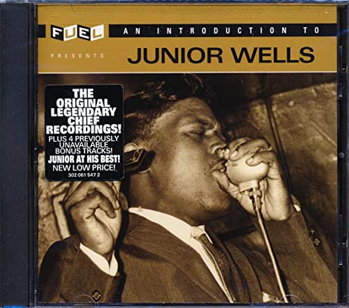 Introduction to Junior Wells