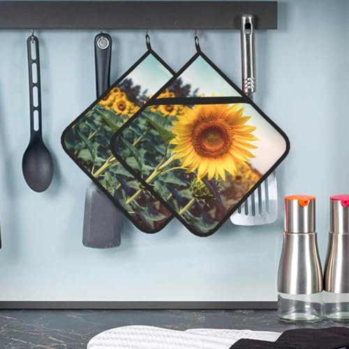 Confezione da 2 presine da cucina resistenti al calore, bel set di presine da forno a girasole, lavabili, per cottura al forno, sottopentola da cucina, con passanti per appenderli, 20,3 x 20,3 cm