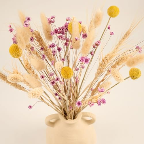 Meine Orangerie - Set di fiori secchi – 135 steli – bouquet di fiori secchi – decorazione elegante e naturale – decorazione da tavolo – decorazione per matrimonio